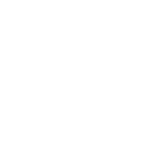 Ace Language School